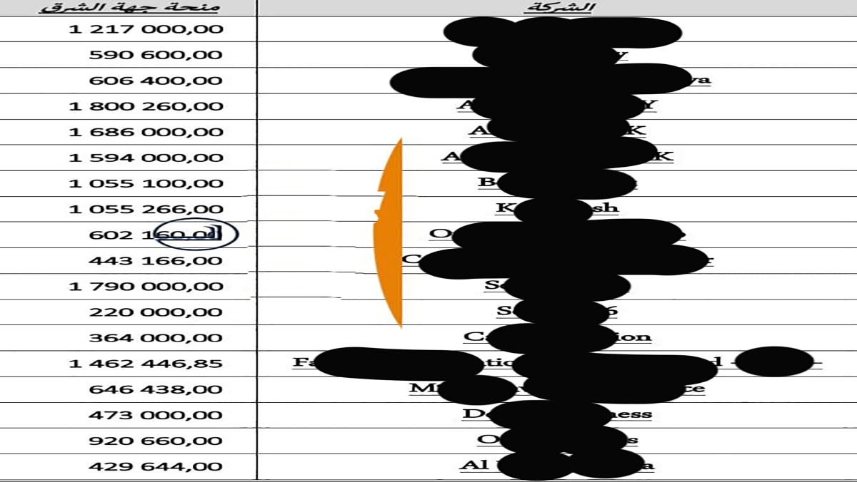 حقوقيون يطالبون بالتحقيق مع شركات تعود لمقربين من بعيوي استفادت من أموال طائلة من خزينة جهة الشرق.缩略图