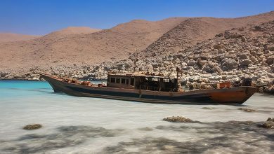 لماذا يخشى الغرب الأسطول البحري للحوثيين缩略图