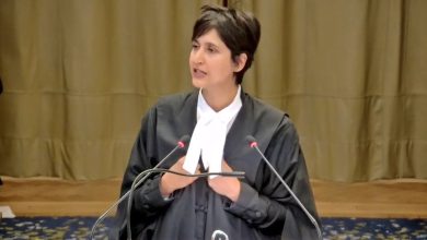 من هي المحامية الرائعة التي قدمت مرافعة أنيقة وبأدلة دامغة في فريق جنوب افريقيا缩略图