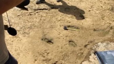 المغرب.. اكتشاف أقدم آثار أقدام بشرية بشمال إفريقيا وجنوب “المتوسط”缩略图 المغرب.. اكتشاف أقدم آثار أقدام بشرية بشمال إفريقيا وجنوب “المتوسط”缩略图