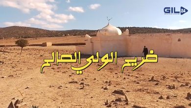 حتى لا يصبح “ضريح سيدي جابر” نسيا منسيا… (فيديو)缩略图 حتى لا يصبح “ضريح سيدي جابر” نسيا منسيا… (فيديو)缩略图