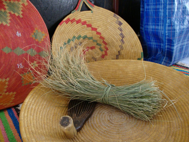 الحلفا بمنطقة سيدي بوبكر…بين أيدي الإنسان وأسنان الحيوان缩略图