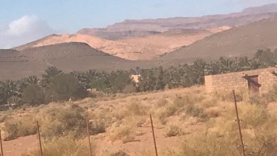 بأي حال تحل الذكرى 21 للمبادرة الملكية بإقليم فكيك؟ المواطن يتساءل缩略图