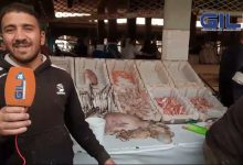 GIL24-TV سوق السمك بوجدة… الغلاء وغياب المراقبة缩略图