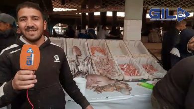 GIL24-TV سوق السمك بوجدة… الغلاء وغياب المراقبة缩略图 GIL24-TV سوق السمك بوجدة… الغلاء وغياب المراقبة缩略图