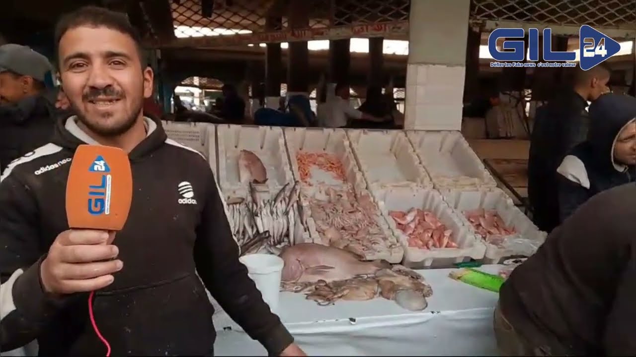 GIL24-TV سوق السمك بوجدة… الغلاء وغياب المراقبة缩略图
