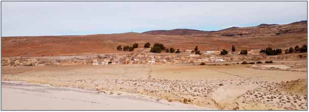 الحلفا بمنطقة سيدي بوبكر…بين أيدي الإنسان وأسنان الحيوان插图3 الحلفا بمنطقة سيدي بوبكر…بين أيدي الإنسان وأسنان الحيوان插图3
