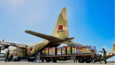 برلمانيون أوروبيون: المساعدة المغربية لغزة التفاتة تاريخية تشهد على الالتزام الإنساني للملك缩略图