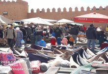 فوضى باب سيدي عبد الوهاب تهزم قائد الملحقة الإدارية.缩略图