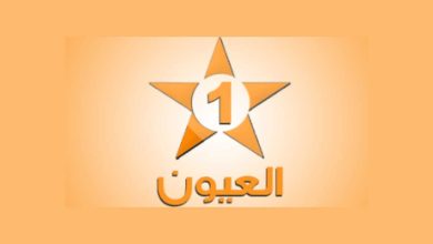 أبيات شاعر انفصالي… على قناة العيون ولا من يحرك ساكنا缩略图