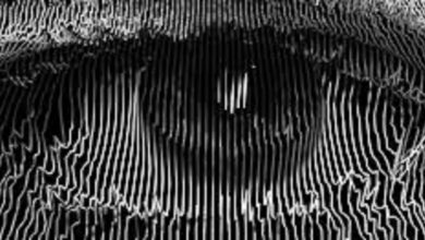 لماذا “الدولة العميقة” … وأين تختبئ؟缩略图