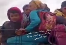 بوعرفة: واد القصيب … الكل يبحث عن حل وللرئيس اهتمامات اخرى缩略图