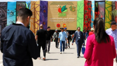 المعرض الدولي للفلاحة بمكناس 2024 يشهد توافدا غير مسبوق للزوار缩略图