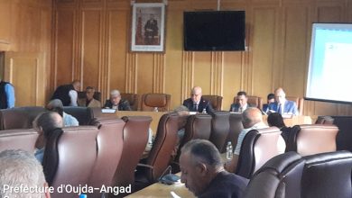 مجلس جماعة وجدة يرفض النقطة المتعلقة ببناء وتجهيز مجزرة عصرية.缩略图