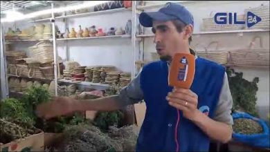 GIL24-TV فزوان … منطقة الاعشاب الطبيعية والطبية بامتياز缩略图