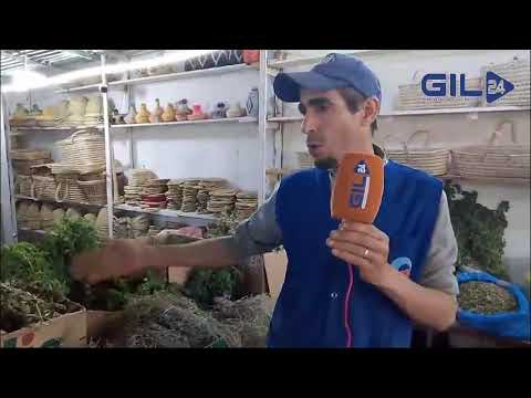 GIL24-TV فزوان … منطقة الاعشاب الطبيعية والطبية بامتياز缩略图