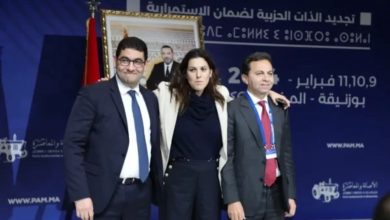 البام: تصفية تركة وهبي وطنيا وعبدالنبي بيوي وسعيد الناصيري ومجاهيد إبراهيم جهويا缩略图