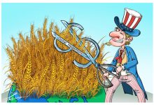 هيمنة الدولار الأمريكي ستفاقم “الداروينية المالية”缩略图