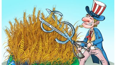 هيمنة الدولار الأمريكي ستفاقم “الداروينية المالية”缩略图 هيمنة الدولار الأمريكي ستفاقم “الداروينية المالية”缩略图