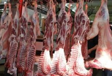 بعد ما تجاوزت أسعارها 100 درهم للكيلو غرام ..دعوات لمقاطعة اللحوم الحمراء缩略图 بعد ما تجاوزت أسعارها 100 درهم للكيلو غرام ..دعوات لمقاطعة اللحوم الحمراء缩略图