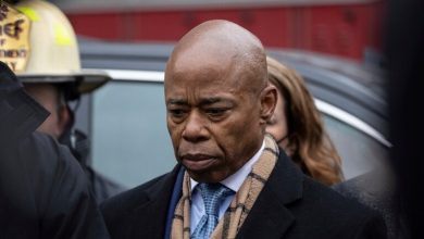 ارتفاع مهول في عدد المعتقلين السياسيين بنيويورك بسبب غزة缩略图