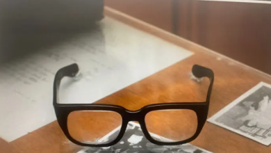 لا عقوبة شروط مقيدة فقط على جندي يسرق نظارات مؤسس الدولة缩略图