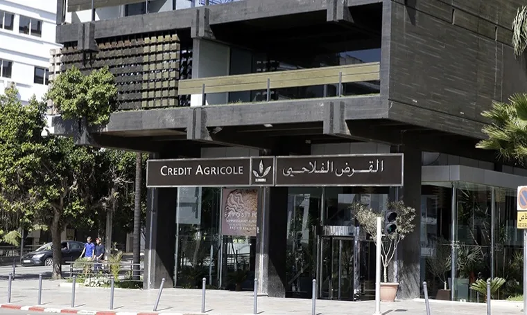 القرض الفلاحي يدعم الاستثمارات في المناطق المصرح لها بزراعة القنب الهندي缩略图 القرض الفلاحي يدعم الاستثمارات في المناطق المصرح لها بزراعة القنب الهندي缩略图