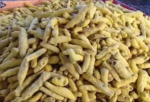 GIL24-TV وجدة … إقبال كبير للتوابل في عيد الأضحى缩略图