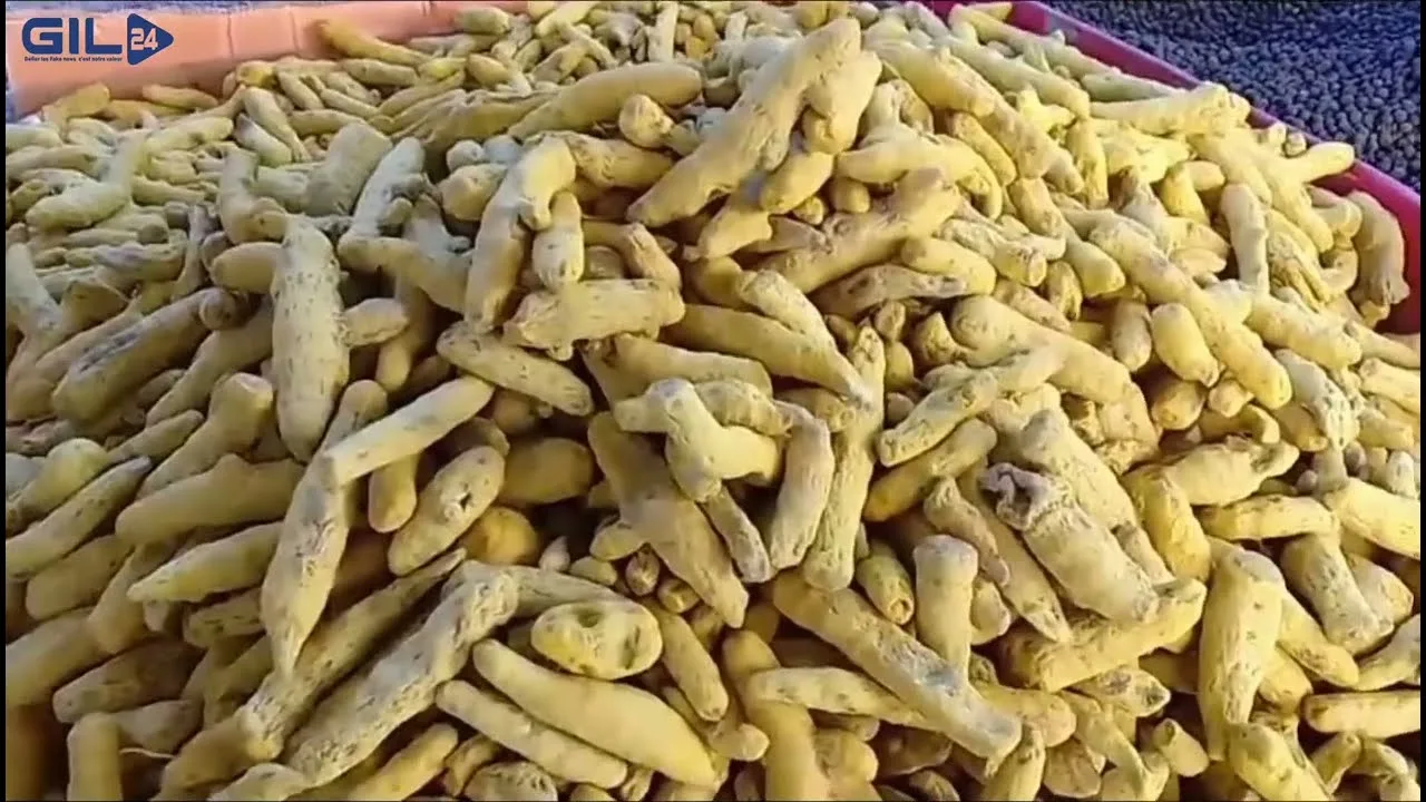 GIL24-TV وجدة … إقبال كبير للتوابل في عيد الأضحى缩略图