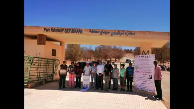 GIL24-TV متحدون من أجل الأرض.. اليوم العالمي لمكافحة التصحر والجفاف缩略图