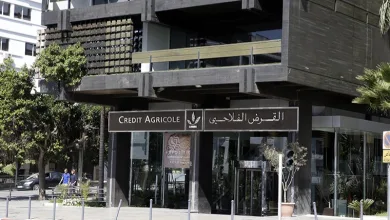 القرض الفلاحي يدعم الاستثمارات في المناطق المصرح لها بزراعة القنب الهندي缩略图 القرض الفلاحي يدعم الاستثمارات في المناطق المصرح لها بزراعة القنب الهندي缩略图