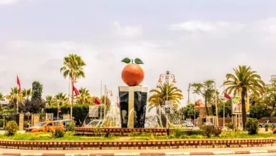 إقصاء بركان من تعيينات الأطباء المتخصصين 2026: غضب السكان يتصاعد أمام “حيف واضح” في توزيع المناصب缩略图 إقصاء بركان من تعيينات الأطباء المتخصصين 2026: غضب السكان يتصاعد أمام “حيف واضح” في توزيع المناصب缩略图