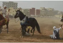 جرسيف وفي عز العطش ونذرة الماء.. رئيس جماعة لتادرت يفضل التبوريدا بدل تضميد معاناة الساكنة缩略图