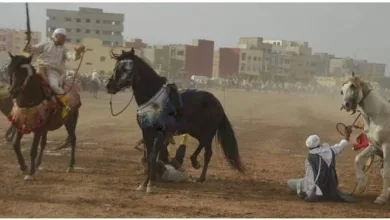 جرسيف وفي عز العطش ونذرة الماء.. رئيس جماعة لتادرت يفضل التبوريدا بدل تضميد معاناة الساكنة缩略图 جرسيف وفي عز العطش ونذرة الماء.. رئيس جماعة لتادرت يفضل التبوريدا بدل تضميد معاناة الساكنة缩略图