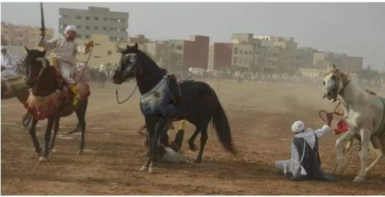 جرسيف وفي عز العطش ونذرة الماء.. رئيس جماعة لتادرت يفضل التبوريدا بدل تضميد معاناة الساكنة