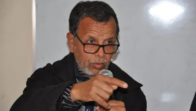 إدريس المغلشي: هل أتاك حديث “مول النعناع”缩略图 إدريس المغلشي: هل أتاك حديث “مول النعناع”缩略图