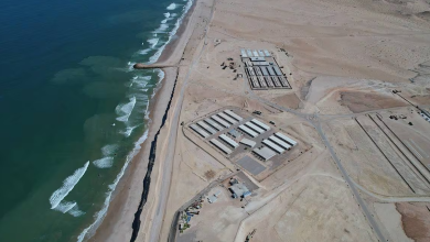 المبادرة الملكية الأطلسية تستجيب لأولويات التنمية في منطقة الساحل缩略图