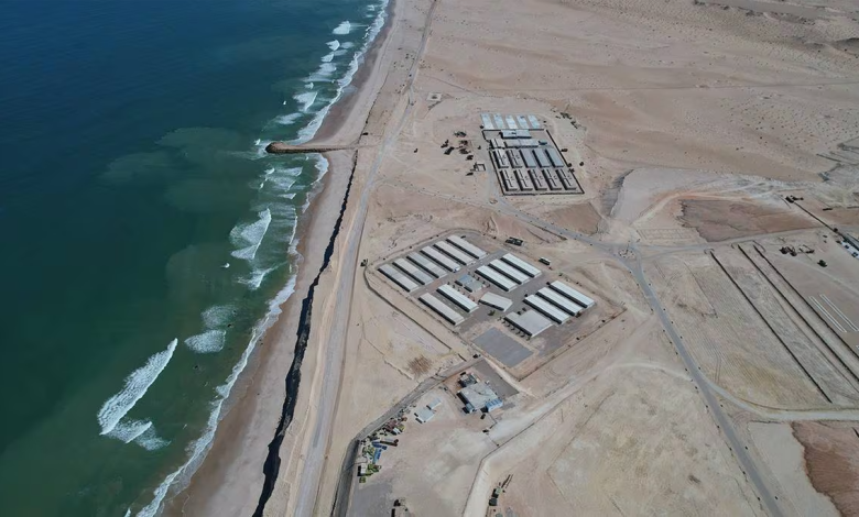 المبادرة الملكية الأطلسية تستجيب لأولويات التنمية في منطقة الساحل缩略图 المبادرة الملكية الأطلسية تستجيب لأولويات التنمية في منطقة الساحل缩略图