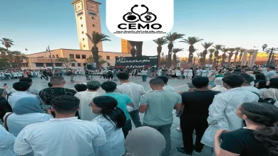 عاجل: القضاء يرفض جميع طلبات طلبة الطب الرامية الى ايقاف تنفيذ التوقيف缩略图