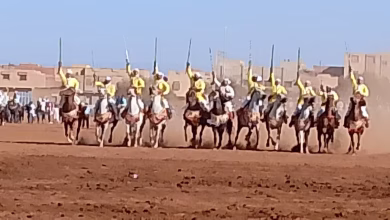 GIL24-TV لقطات من اجواء وعدة بني درار ، يقول الفارس … الخيل والبارود تعرفني缩略图