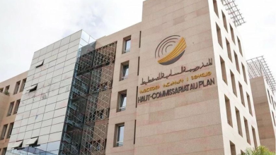 خمس جهات بالمغرب تضم 72,3 بالمائة من السكان النشيطين البالغين 15 سنة فما فوق缩略图 خمس جهات بالمغرب تضم 72,3 بالمائة من السكان النشيطين البالغين 15 سنة فما فوق缩略图