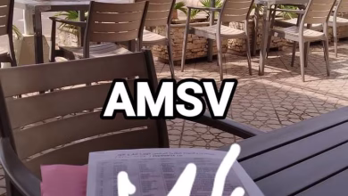 AMSV :السلطات الجزائرية تفرج عن 52 من الشباب المغاربة المرشحين للهجرة.缩略图 AMSV :السلطات الجزائرية تفرج عن 52 من الشباب المغاربة المرشحين للهجرة.缩略图