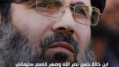 من هو هاشم صفي الدين خليفة حسن نصر الله المحتمل.缩略图