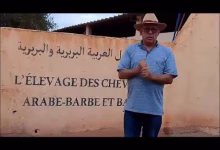 GIL24-TV لحسن قيسي في جولة بجريدة جيل24 في مركز تربية الخيول العربية-البربرية والبربرية ببني درار بجهة الشرق缩略图