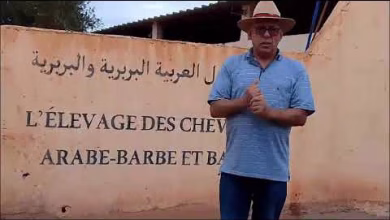 GIL24-TV لحسن قيسي في جولة بجريدة جيل24 في مركز تربية الخيول العربية-البربرية والبربرية ببني درار بجهة الشرق缩略图 GIL24-TV لحسن قيسي في جولة بجريدة جيل24 في مركز تربية الخيول العربية-البربرية والبربرية ببني درار بجهة الشرق缩略图