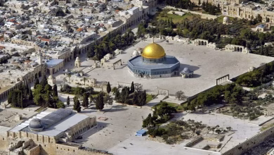 وقعت 17 سبتمر 1948..”سقطت بالتقادم والجاني اعترف”.. جريمة قتل الوسيط الدولي برنادوت缩略图