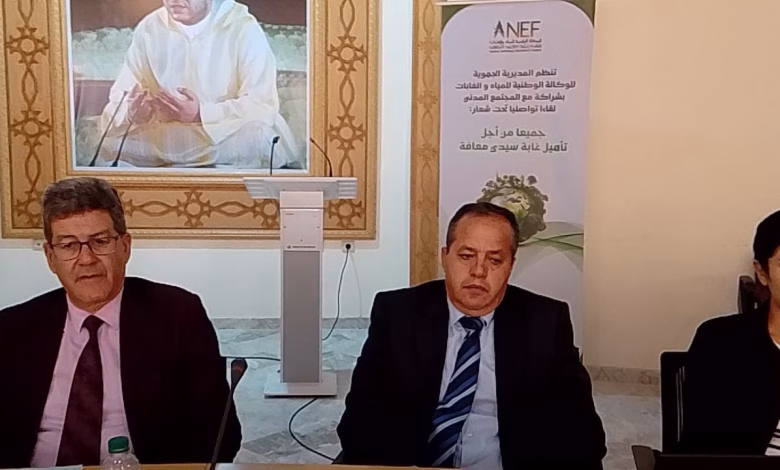 GIL24-TV المدير الجهوي للوكالة الوطنية للمياه والغابات للشرق من أجل خلق نموذج جديد في تدبير الفضاء الغابوي缩略图 GIL24-TV المدير الجهوي للوكالة الوطنية للمياه والغابات للشرق من أجل خلق نموذج جديد في تدبير الفضاء الغابوي缩略图