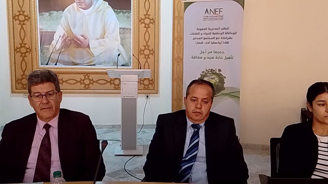 GIL24-TV المدير الجهوي للوكالة الوطنية للمياه والغابات للشرق من أجل خلق نموذج جديد في تدبير الفضاء الغابوي缩略图