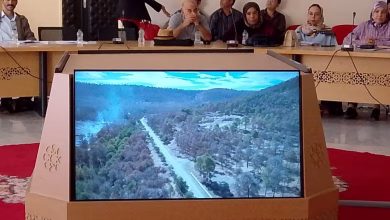 GIL24-TV صور من اللقاء المفتوح بين المديرية الجهوية للوكالة الوطنية للمياه والغابات للشرق والمجتمع المدني缩略图