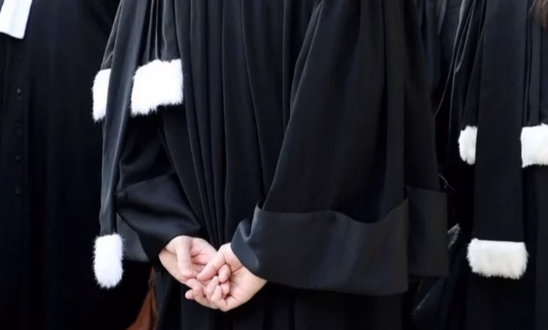 احتجاجات المحامين تربك جلسات المحاكم缩略图 احتجاجات المحامين تربك جلسات المحاكم缩略图